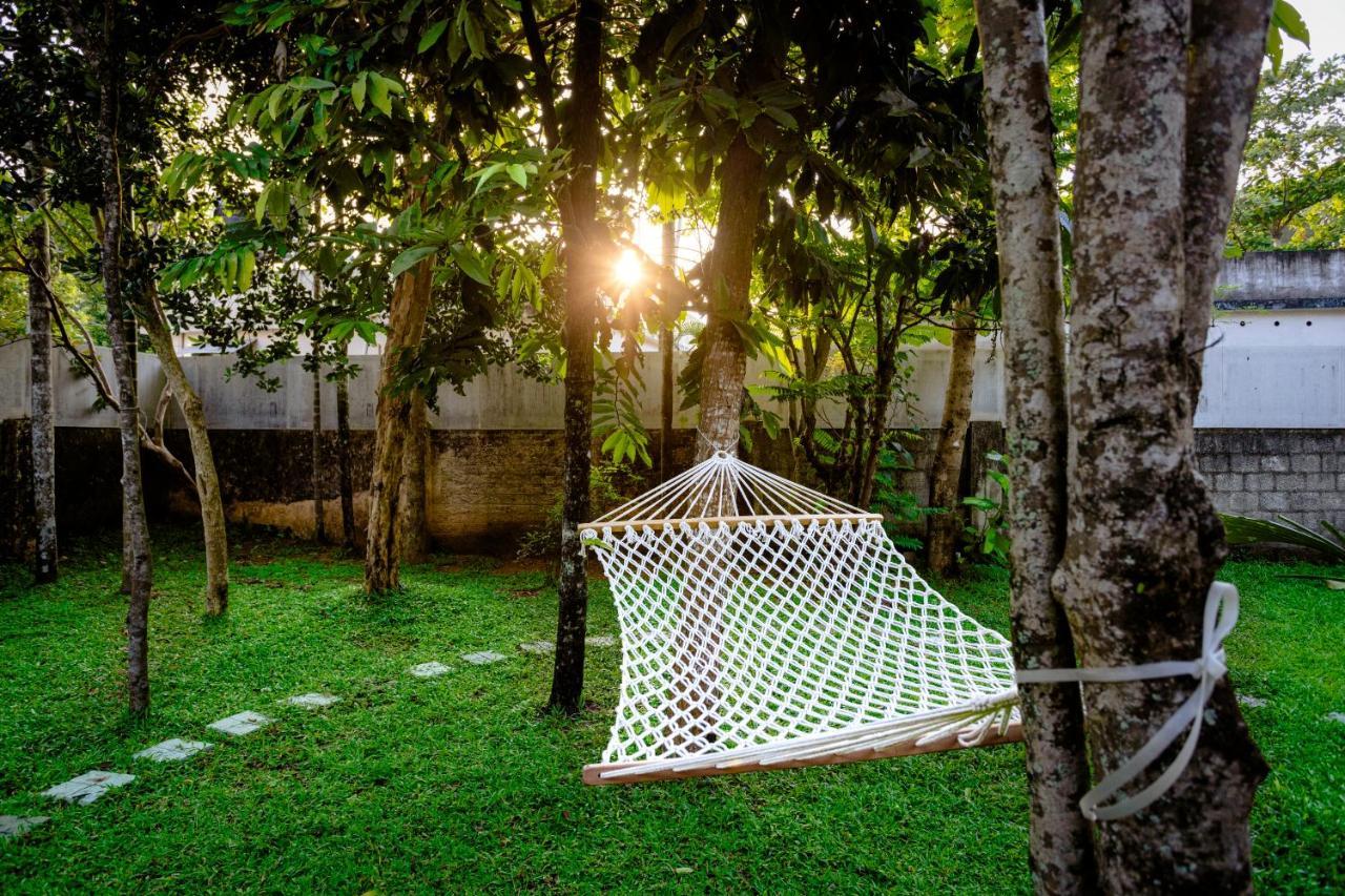The Mayflower - Heritage Villa Alappuzha 외부 사진
